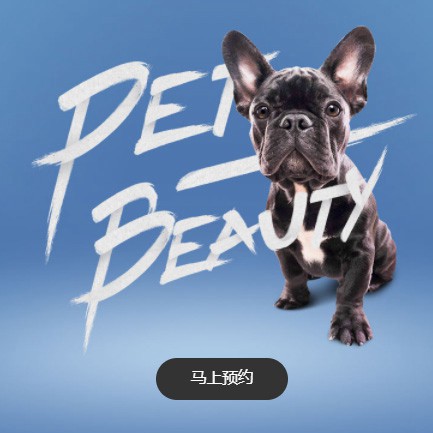 东台宠物中心小程序开发