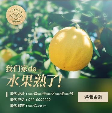 东台果园果林小程序开发